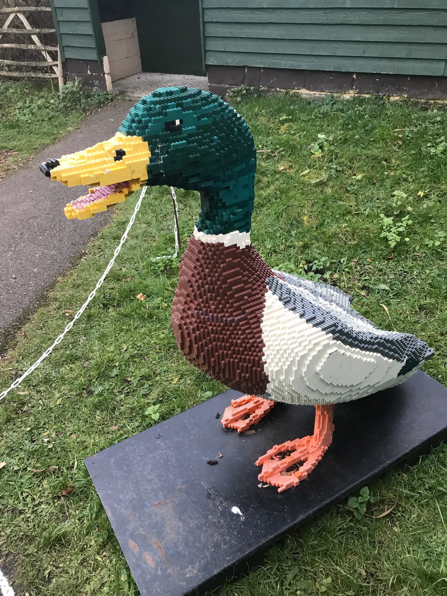 Cotswolds: Mallard (how many bricks)?