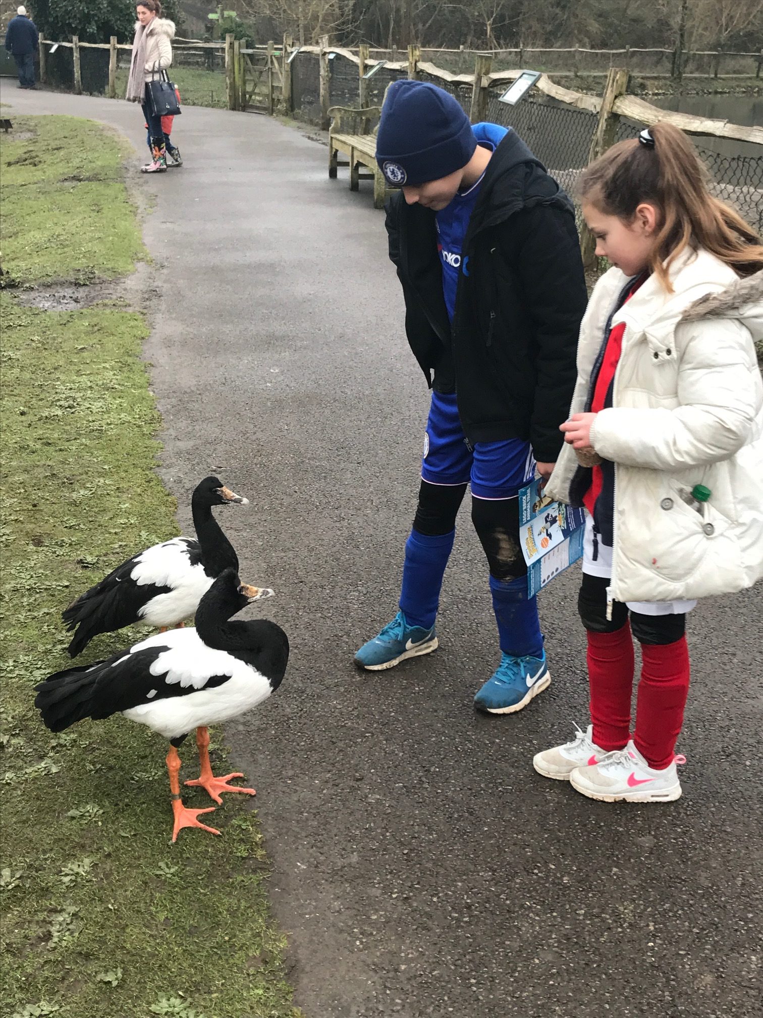 Cotswolds: Slimbridge.