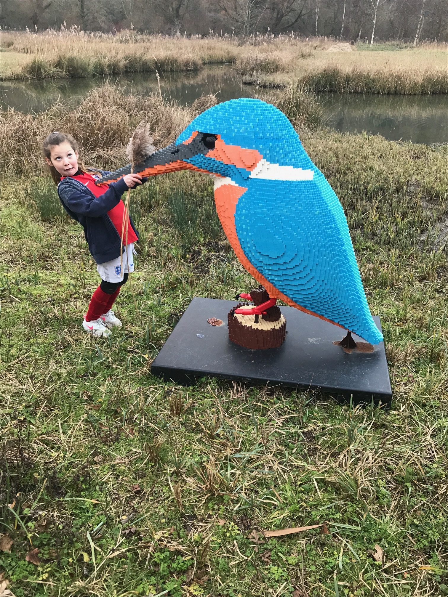 Cotswolds: “Kingfisher” (how many Lego bricks?).