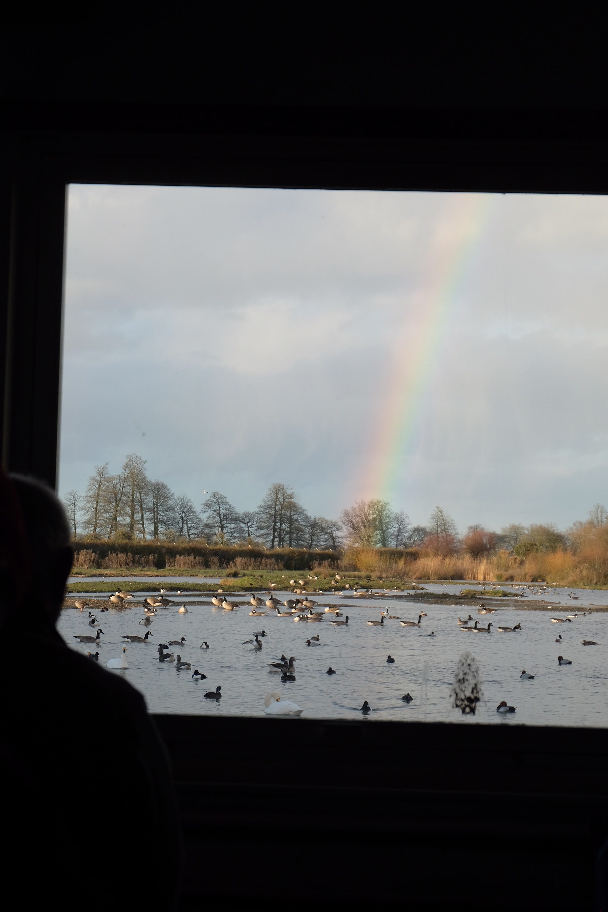 Cotswolds: Rainbow (with a story).