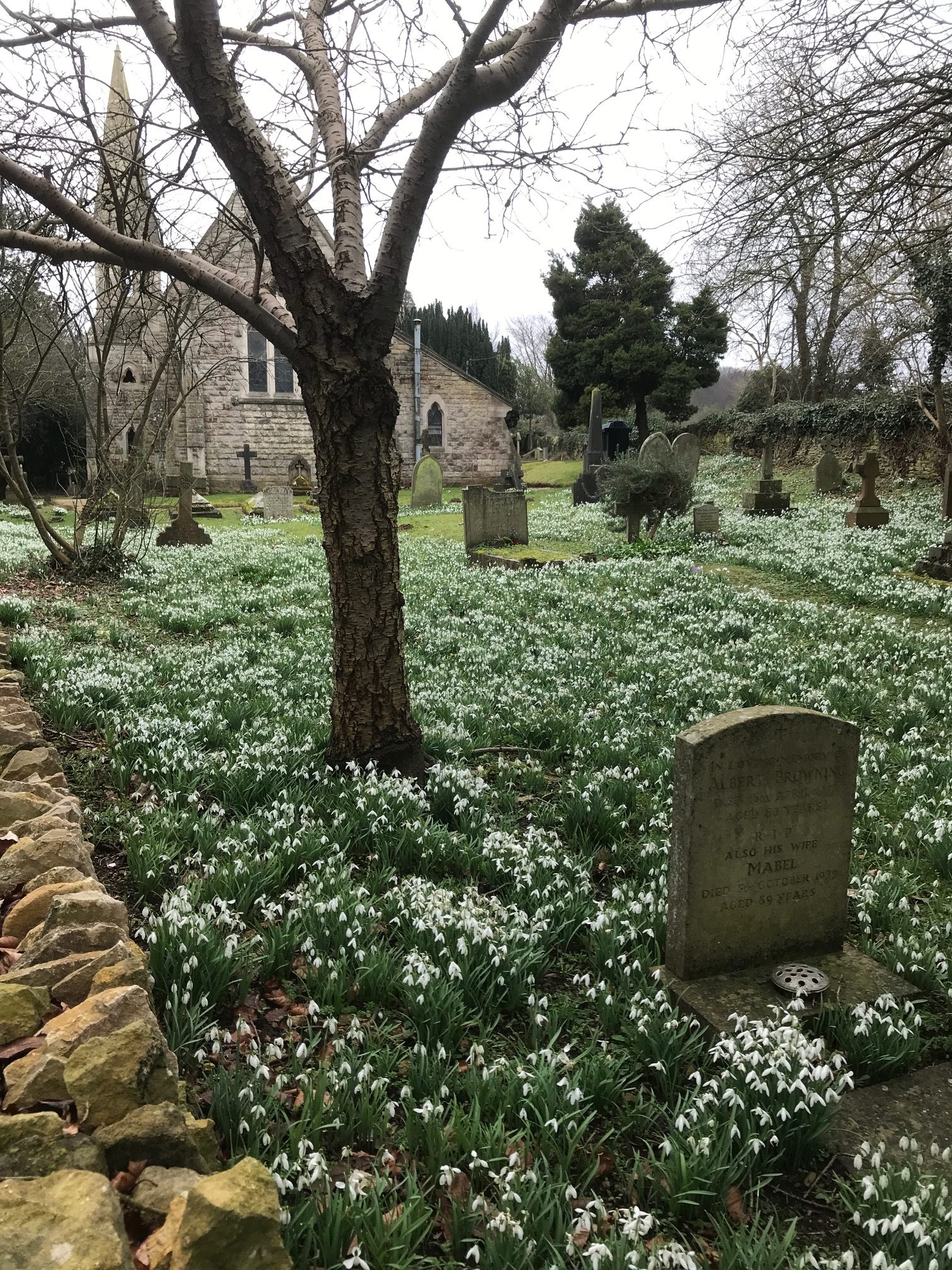Cotswolds: Snowdrops at St John's, Edge.