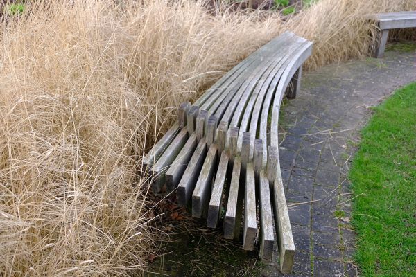 Just Two Hours: Bench and grasses.