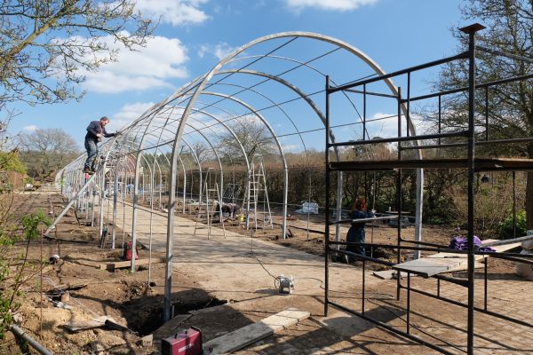 Just Two Hours: New wisteria tunnel under construction.