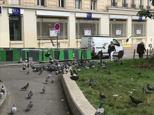 Paris: Feeding time at the zoo. Ahahaha!