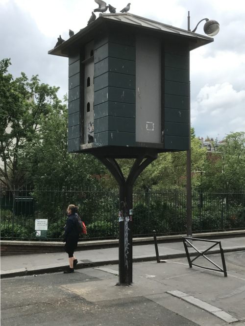 Paris: Where Parisians celebrate and build homes for pigeons who repay them as only they know how!