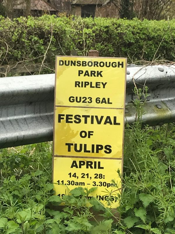 Dunsborough Park Gardens: Festival of Tulips Poster.