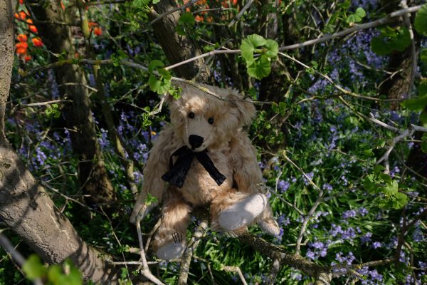 Dunsborough Park Gardens: Sometimes I sit here and think, others times I just sit.