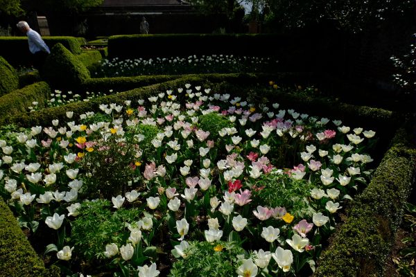 Dunsborough Park Gardens: Pastel Colours.