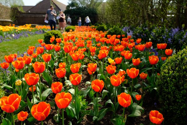 Dunsborough Park Gardens.