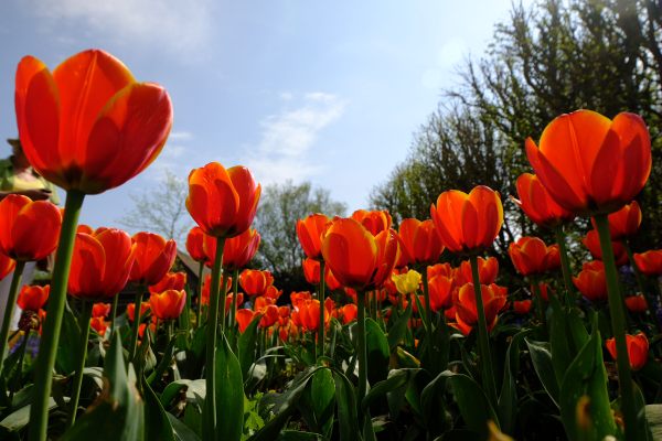 Dunsborough Park Gardens.