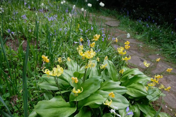 Dunsborough Park Gardens.