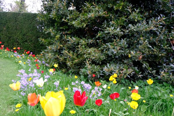 Dunsborough Park Gardens.