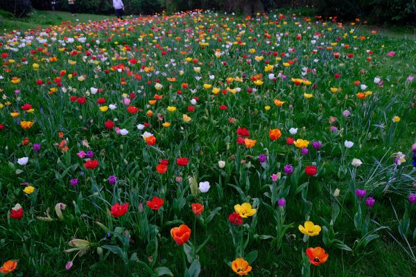 Dunsborough Park Gardens.