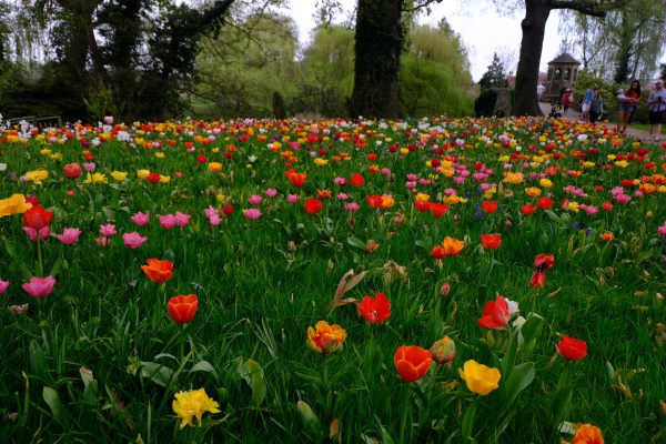 Dunsborough Park Gardens.