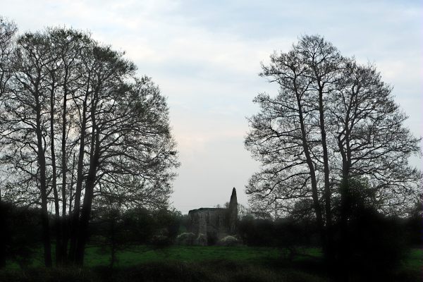 Dunsborough Park Gardens: Lighting a Candle for Diddley - Newark Abbey ruins.