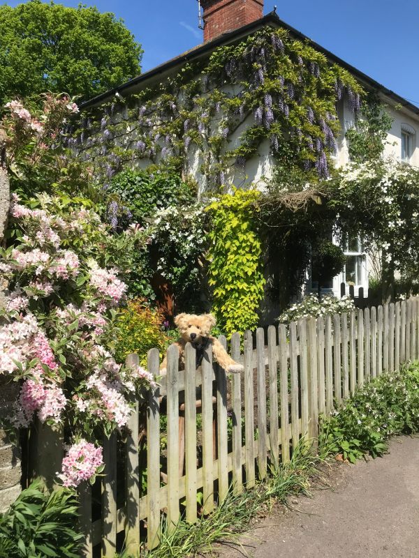 Frank's Walk: Lighting a Candle to Diddley - Laurel Cottage May 2018.