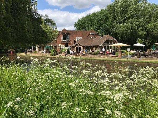Frank's Walk: Heaven for Diddley. The gentle fronds of cow parsley waving in the breeze. The Wey Navigation and one of her favourite pubs. The Anchor at Pyrford.