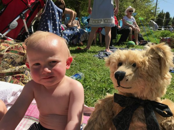 Teddy Bers' Picnic: Here’s Cody. Friend to the grandchildren.