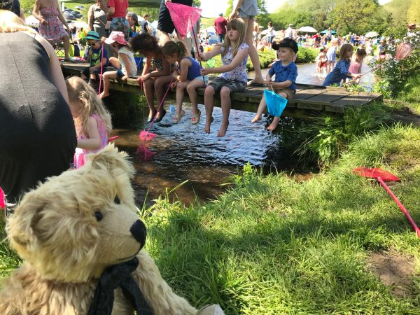 Teddy Bears' Picnic: “Wouldn't fancy being a stickleback today!”