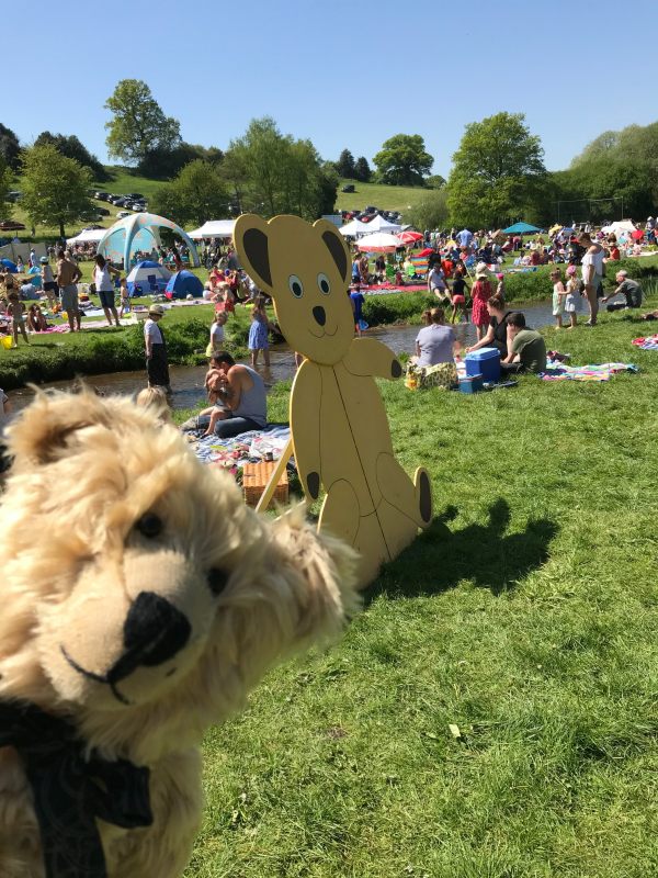 Teddy Bears' Picnic: "Look up that hill! How did those cars get there?"