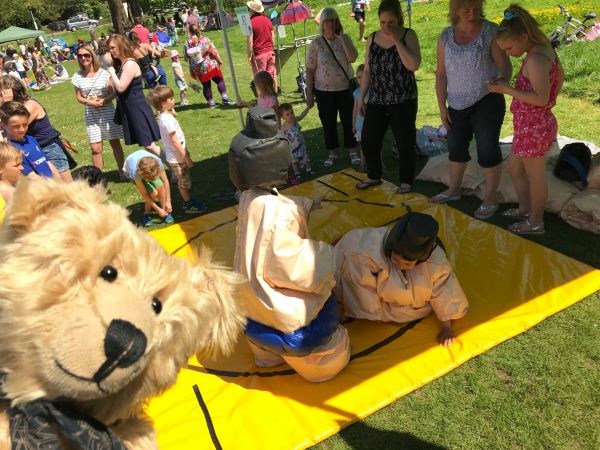 Teddy Bears' Picnic: "At least the view is better than real sumo wrestlers."