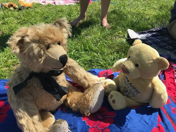 Teddy Bears' Picnic: “You’re sweet. But is that your name, or your owners?”