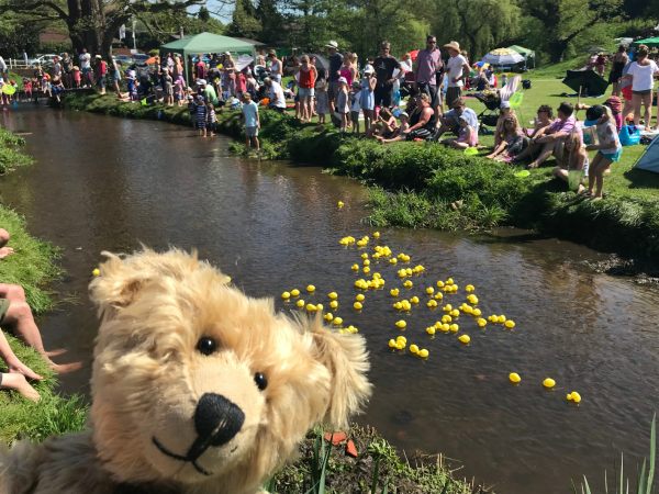 Teddy bears' Picnic: Here they come...