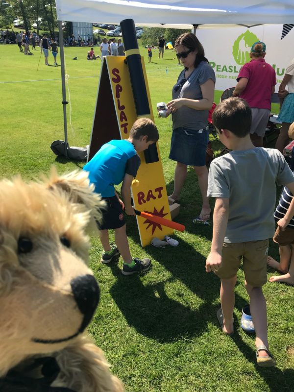 Teddy Bears' Picnic: Bang, crash , WALLOP. Missed!