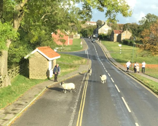 840 to Whitby: Goathland aka Heartbeat’s “Aidensfield.