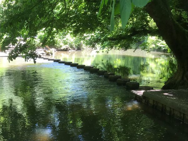 Halcyon Days: The Stepping Stones across the River Mole at Dorking.