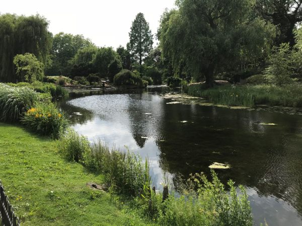 Queen Mary's Rose Garden.