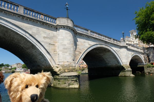 Uncle Dick: Towards Putney under Richmond Bridge.