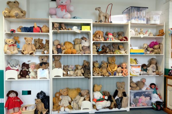 Bertie amongst a load of other bears on shelves at Alice’s Teddy Bear Hospital.