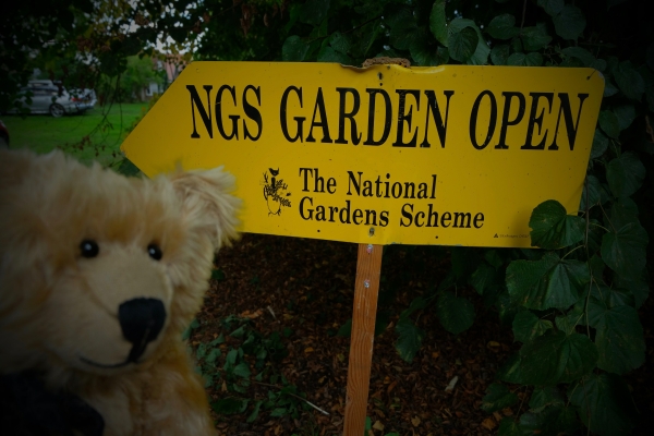Dahlia Day: NGS Garden Open (National Gardens Scheme)
