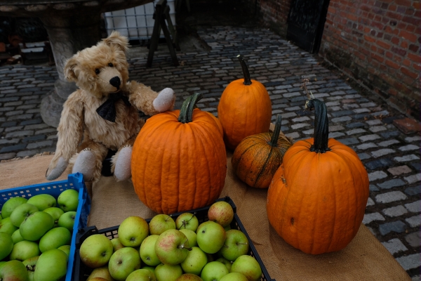 Dahlia Day: 'Ere Bobby - howabout we run a Market Stall - Get yer loverly apples here!...