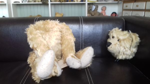 Bertie on the sofa in Alice's Bear Hospital with his head looking at his separated body!