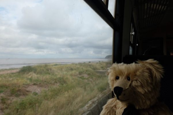 From a Railway Carriage: I love steam trains too.