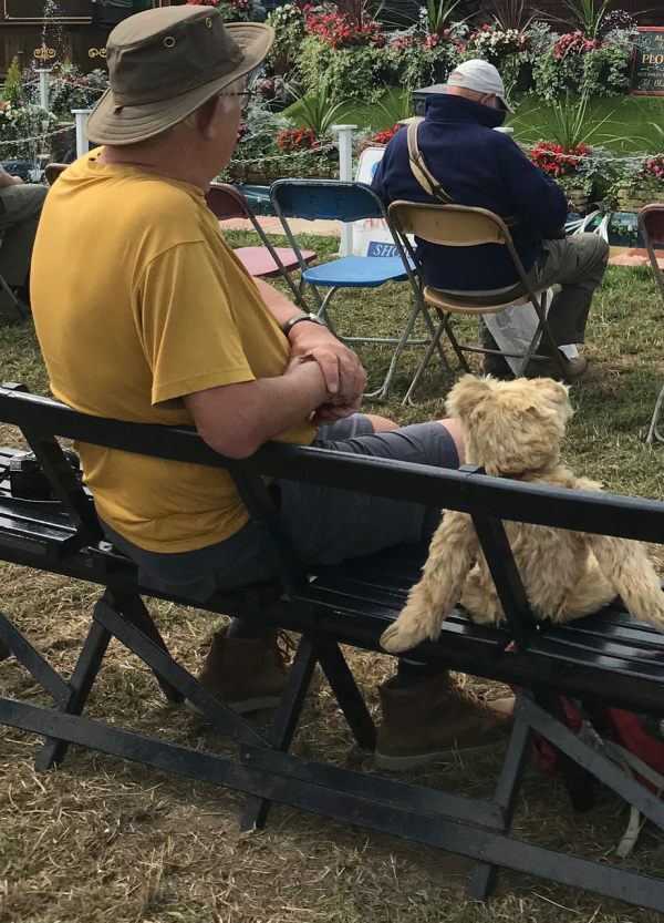 Great Dorset Steam Fair: Watching the Show.