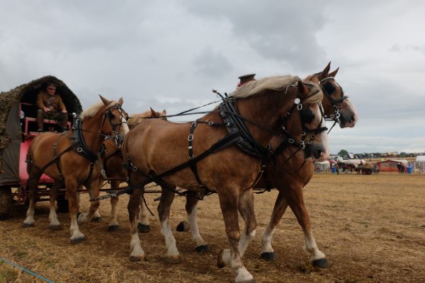 Great Dorset Steam Fair: