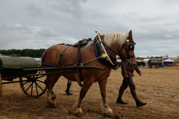 Great Dorset Steam Fair: