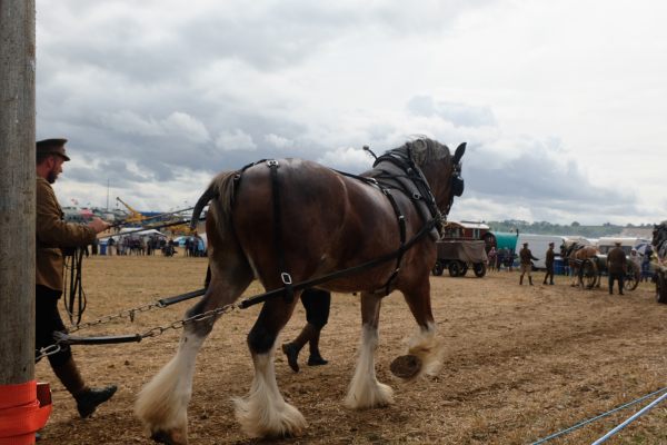 Great Dorset Steam Fair: