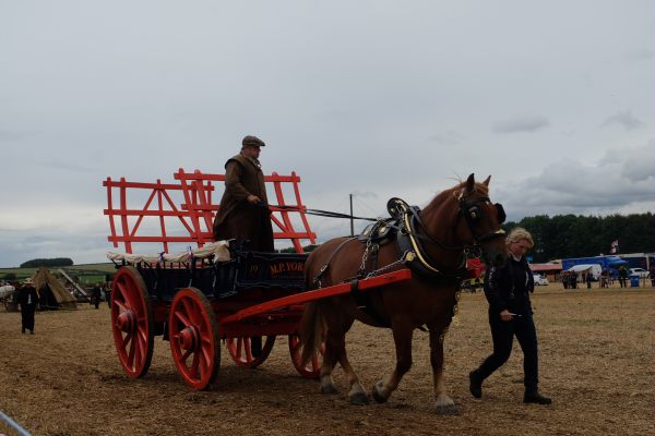 Great Dorset Steam Fair: