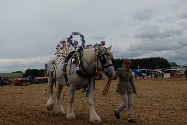 Great Dorset Steam Fair: