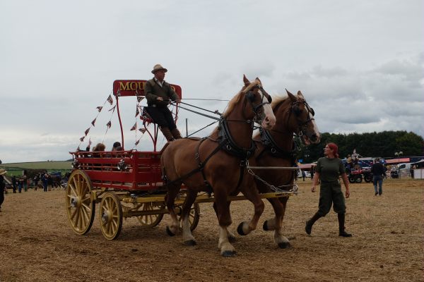 Great Dorset Steam Fair: