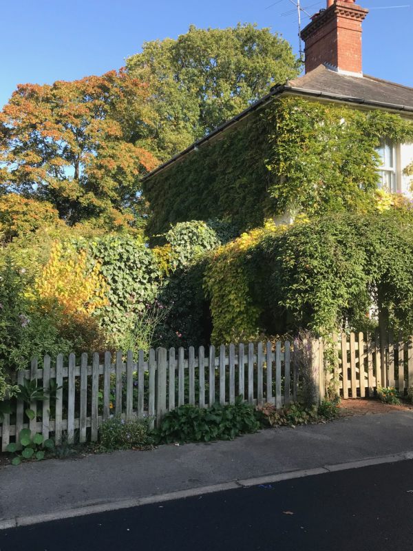 Over the Hills and Far Away: Laurel Cottage. The “Jungle House” to the local children. A lot of leaves waiting to come down.