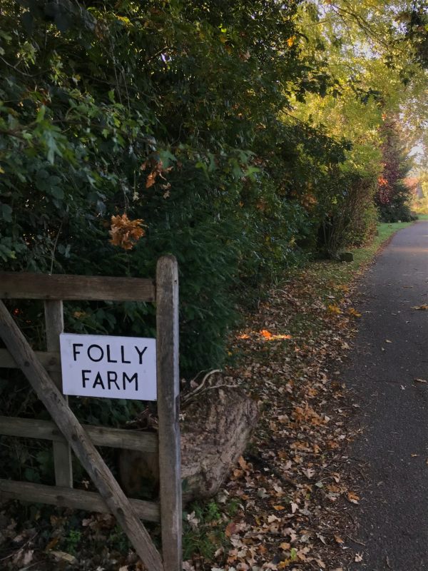 Over the Hills and Far Away: Folly Lane leading to Folly Farm.