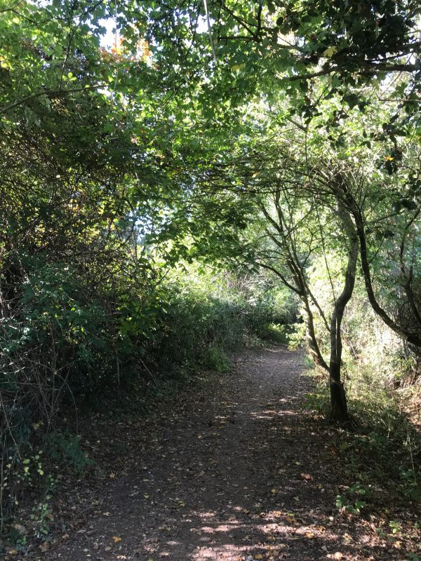 Over the Hills and Far Away: Heading uphill to Redlands.