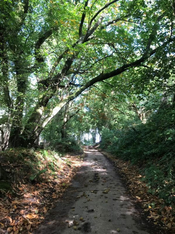 Over the Hills and Far Away: Heading towards Logmore Lane.