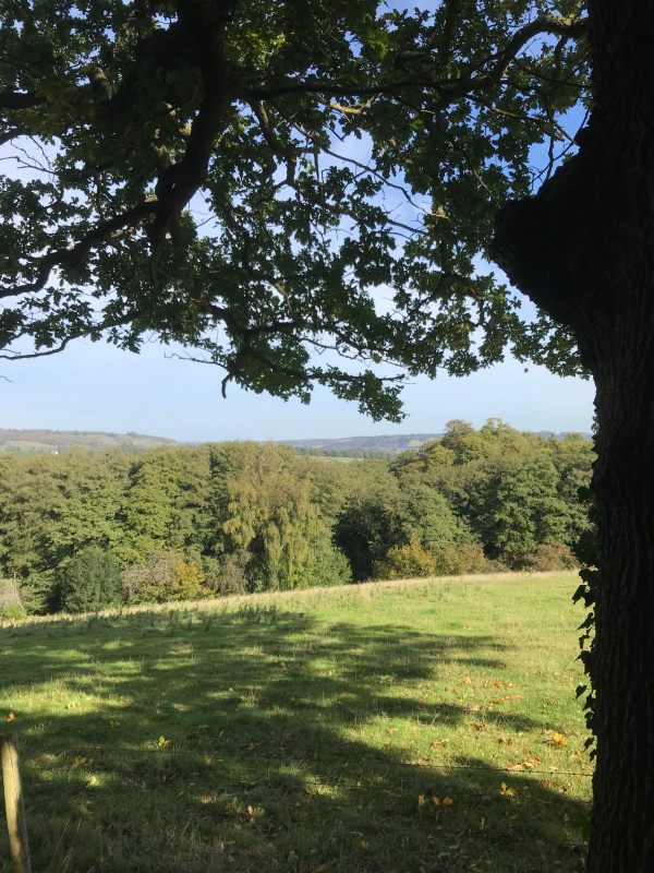 Over the Hills and Far Away: Towards the North Downs from Logmore Lane.