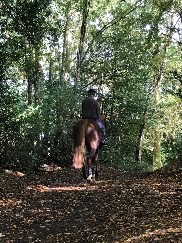 Over the Hills and Far Away: A peaceful ride away from the madding world.